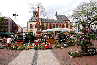 Marktstand der Gärtnerei Scharf am Brunnen auf dem Liebfrauenberg in Frankfurt am Main